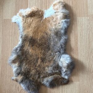 A301 rabbit pelt